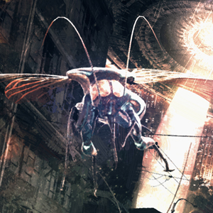 The War with the Insectoids